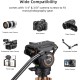 Cayer FP1450 Fluid Head Tripod, 75 inches Aluminium Video Tripod Cayer FP1450 Fluid Head Tripod, 75 inches Aluminium Video Tripod
